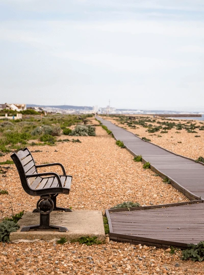 Website design Shoreham